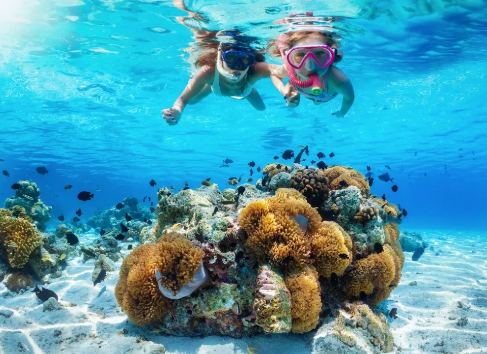 Ilustracja do odpowiedzi: Czy Marsa Alam jest lepsza od Hurghady dla rafy i snorkelingu?