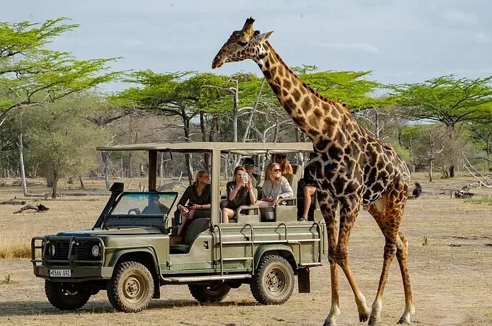 Ilustracja do odpowiedzi: Czy warto połączyć Zanzibar z jednodniowym safari?