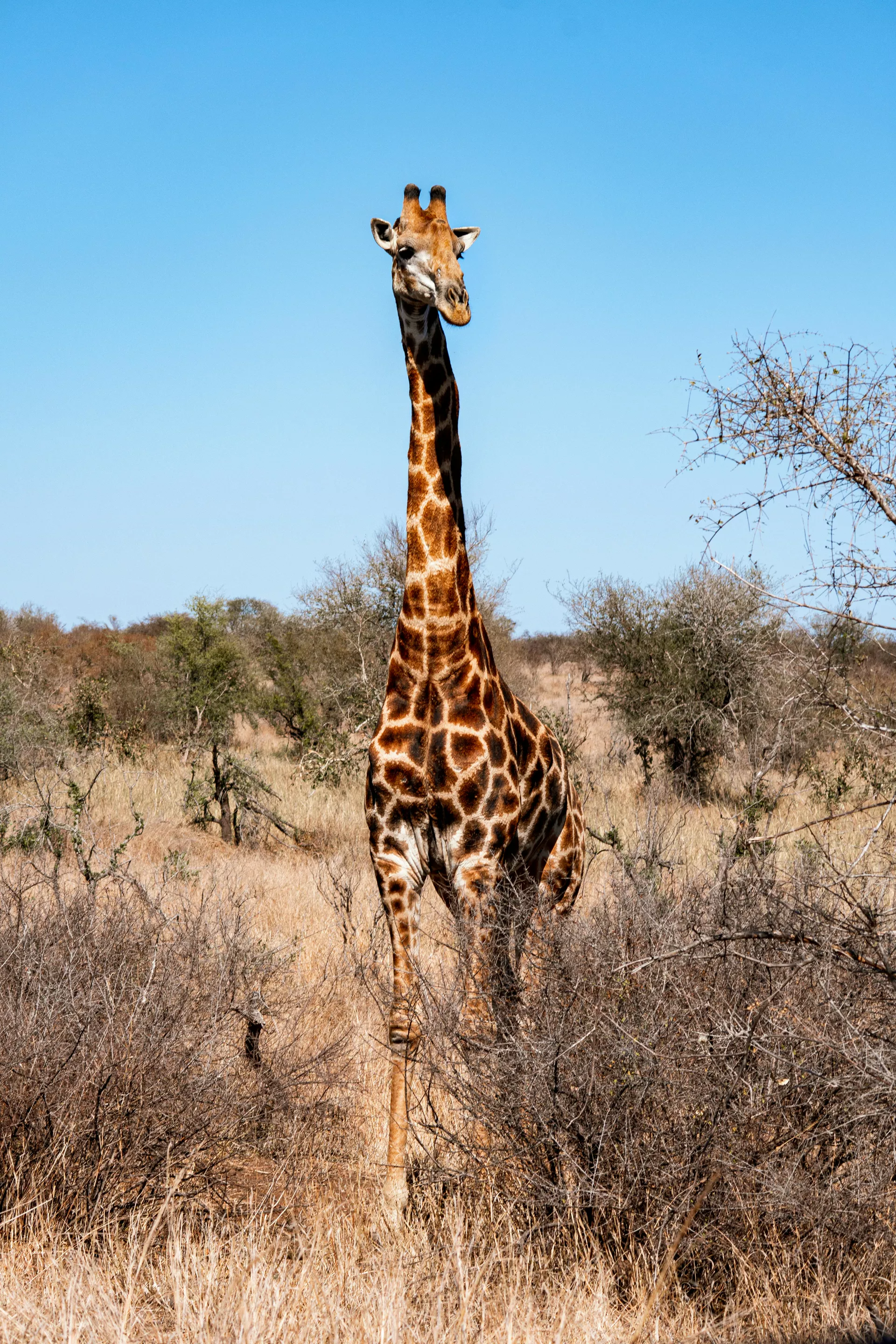 Safari samochodem w rezerwacie Fathala