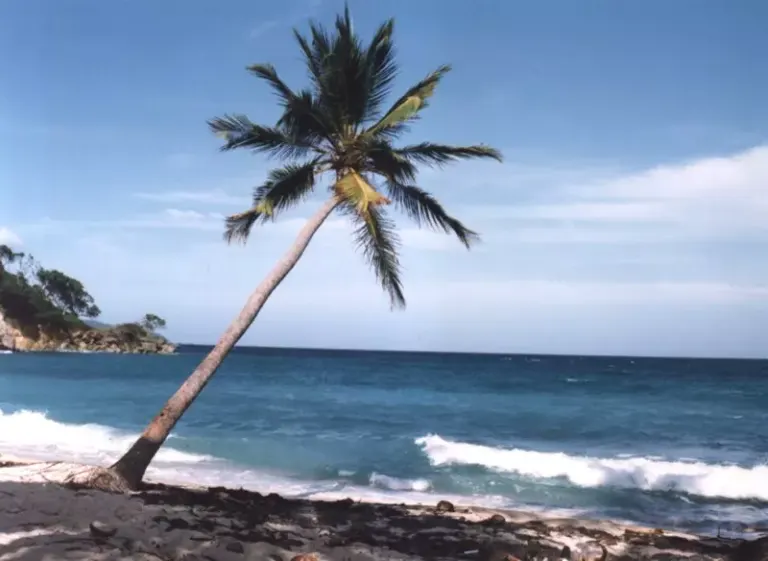 Plaża Cayo Levantado w zatoce Samaná