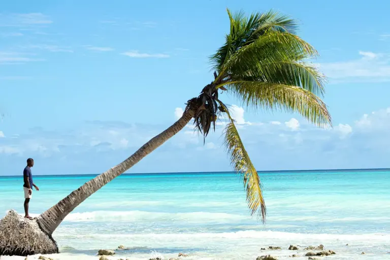 Turkusowa zatoka i łodzie przy plaży na wyspie Saona