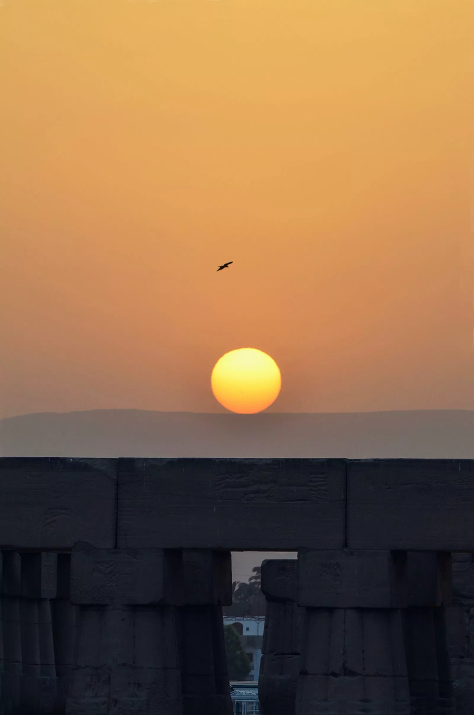 Nocne oświetlenie świątyni Luksoru