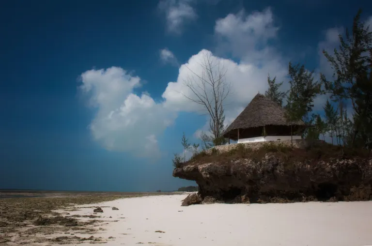 Plaża na Zanzibarze o poranku