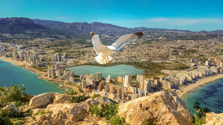 Jak szukać najtańszych wczasów do Turcji w LastRadar.pl – instrukcja krok po kroku (filtry, timing, alerty)