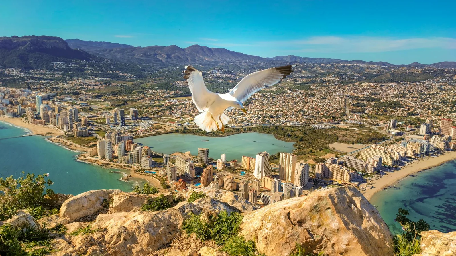 Jak szukać najtańszych wczasów do Turcji w LastRadar.pl – instrukcja krok po kroku (filtry, timing, alerty)