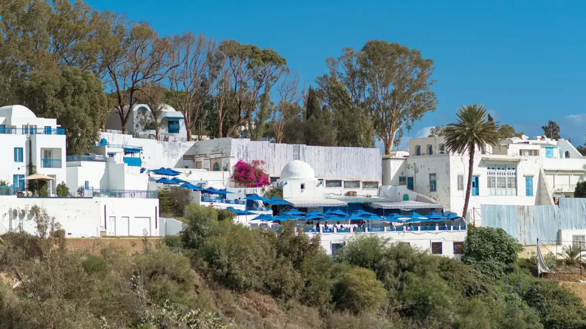 Biało-niebieskie domy w Sidi Bou Saïd