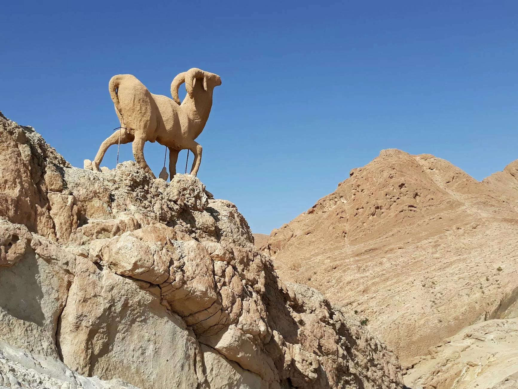 Panorama oazy w Chebice niedaleko Tozeur