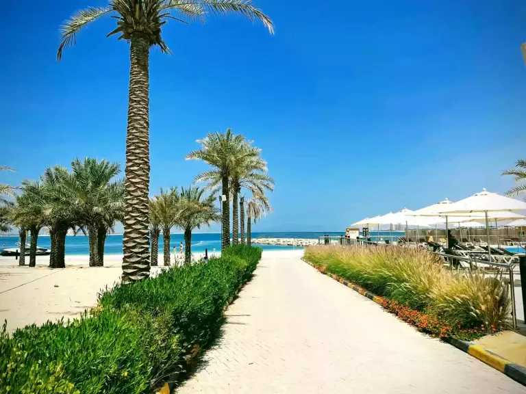 Promenada Palm West Beach z palmami i ścieżką spacerową.