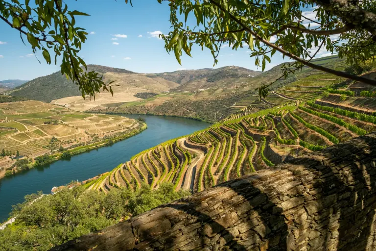 Tarasowe winnice nad Douro