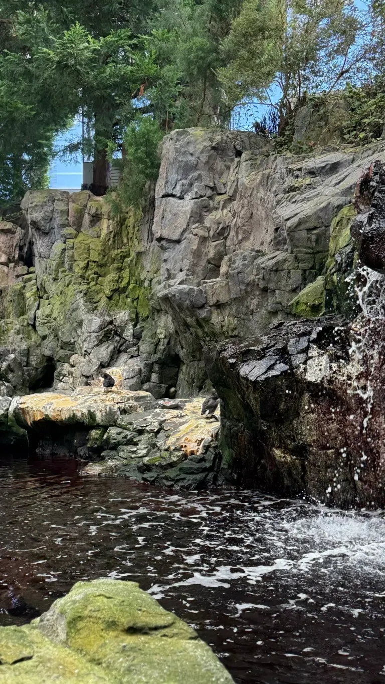 Wnętrze Oceanarium w Lizbonie