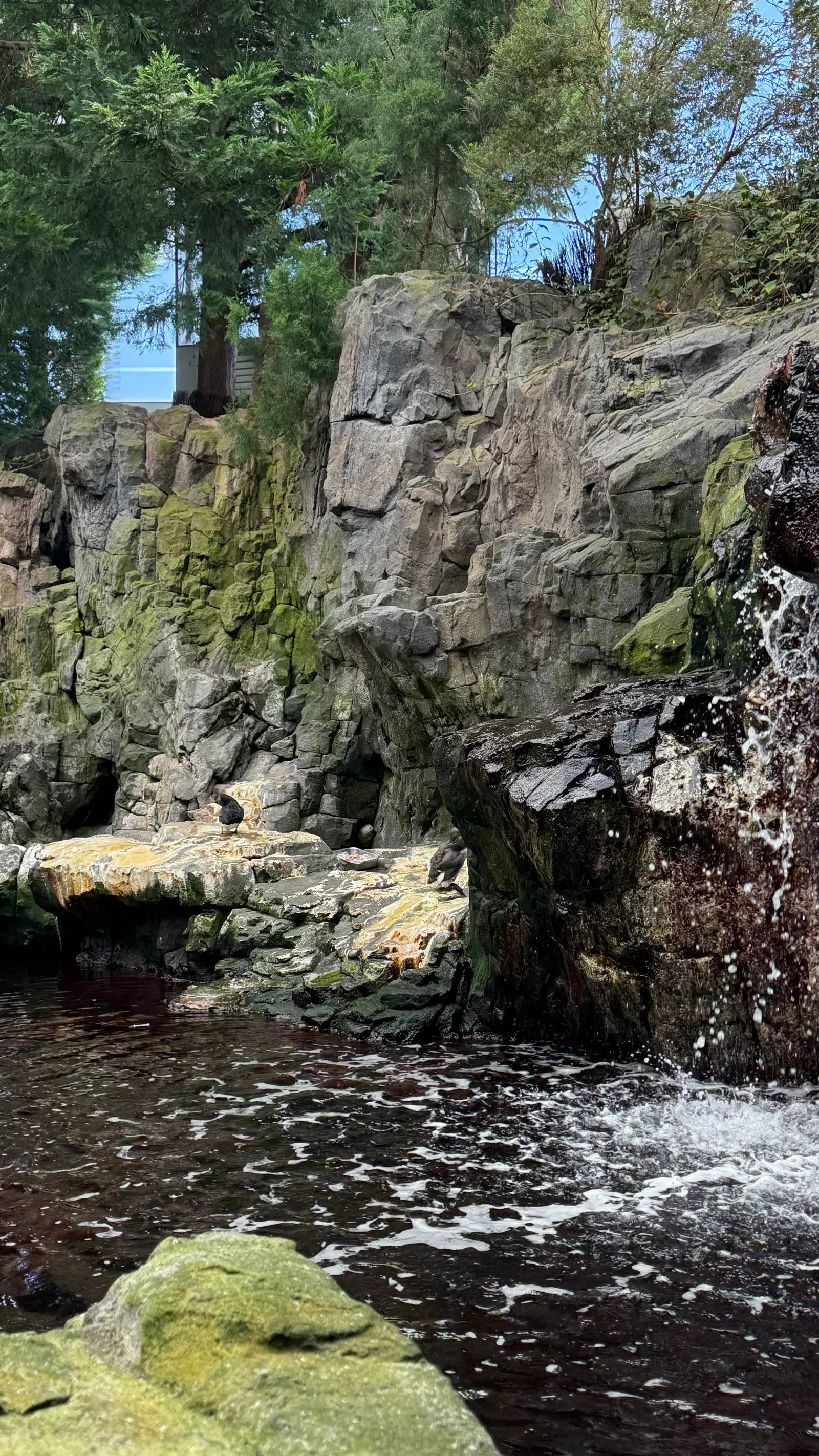 Wnętrze Oceanarium w Lizbonie