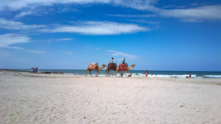 Tunezja – kiedy jechać? Upały vs. wiosna/jesień – przegląd sezonów