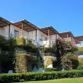 Apollonia Beach (Ammoudara) – opinie, plaża, pokoje i czy warto wybrać ten hotel na Krecie?
