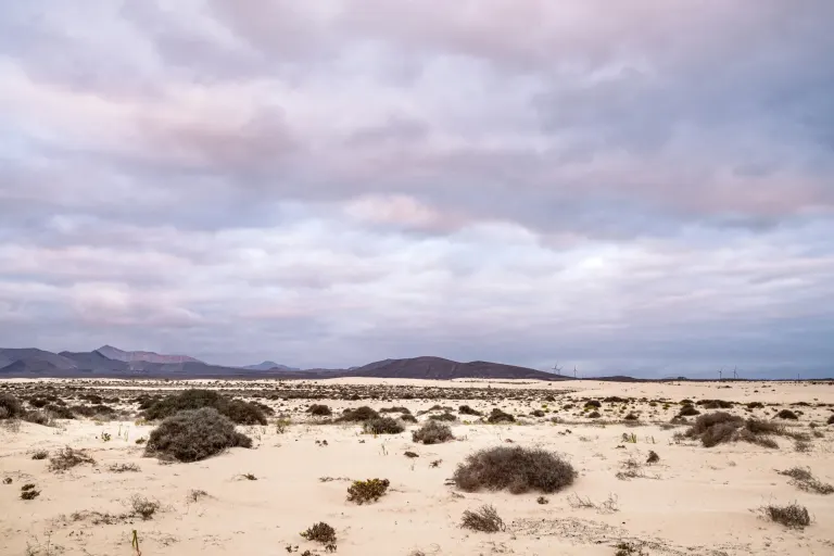 Fuerteventura: Jandía, Costa Calma czy Corralejo — gdzie wybrać hotel na wakacje?