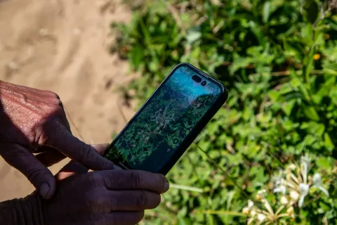 Czy Twój telefon obsługuje eSIM? Jak sprawdzić to przed zakupem pakietu na wakacje