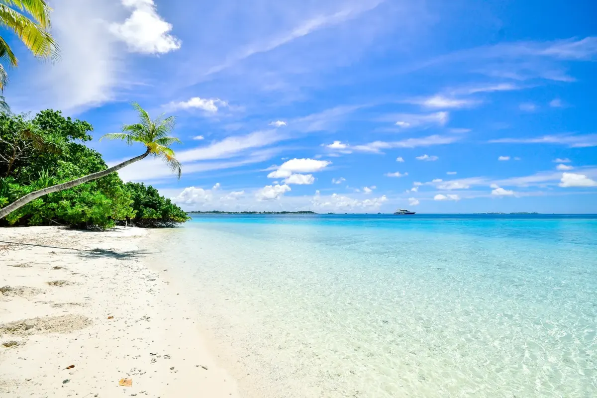 Słoneczna tropikalna plaża przy turkusowej wodzie