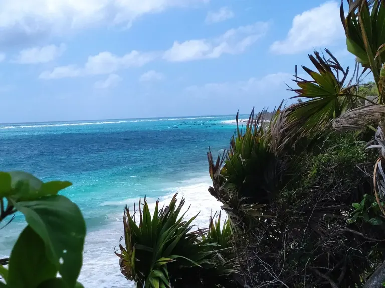 Piaszczysta plaża nad Morzem Karaibskim w okolicy Tulum