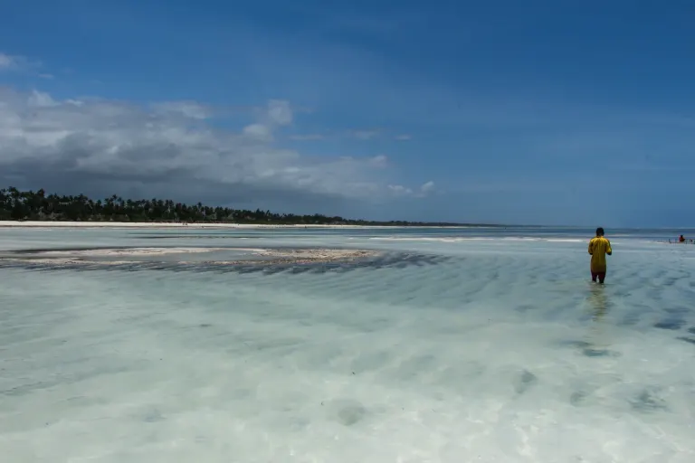 Piaszczysta plaża na Zanzibarze