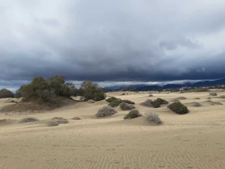 Wydmy Maspalomas na Gran Canarii