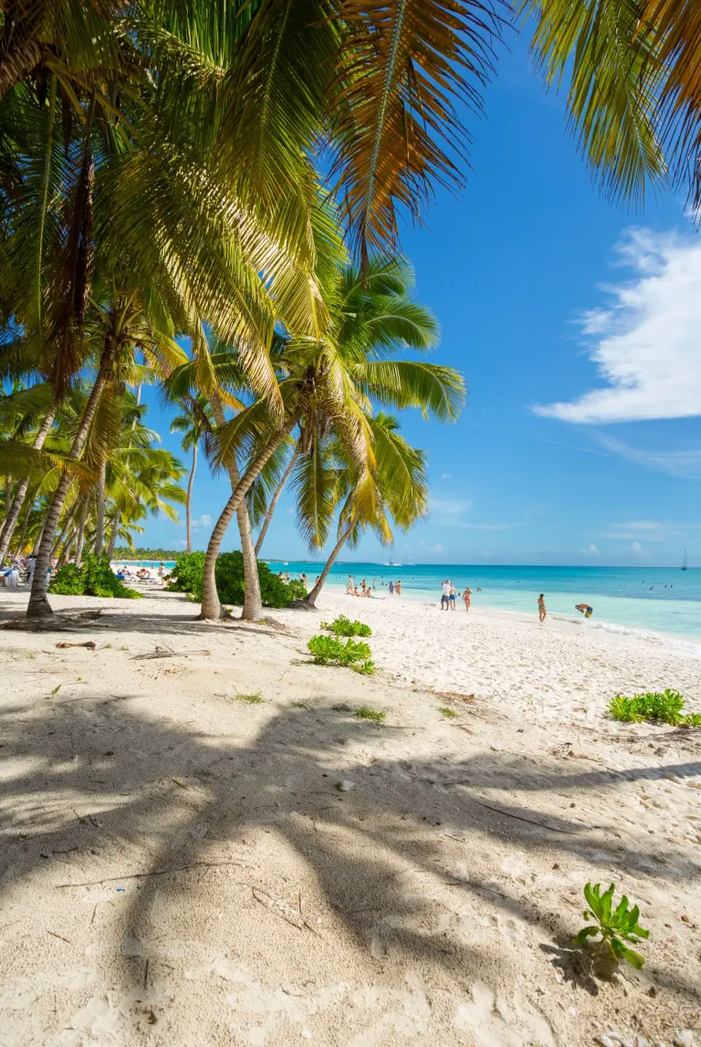 Plaża w Punta Cana na Dominikanie