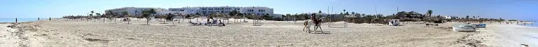 Czy w Tunezji są komary? Djerba, Hammamet, Sousse i Monastir