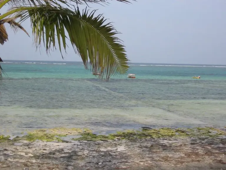 Plaża na wschodnim wybrzeżu Zanzibaru