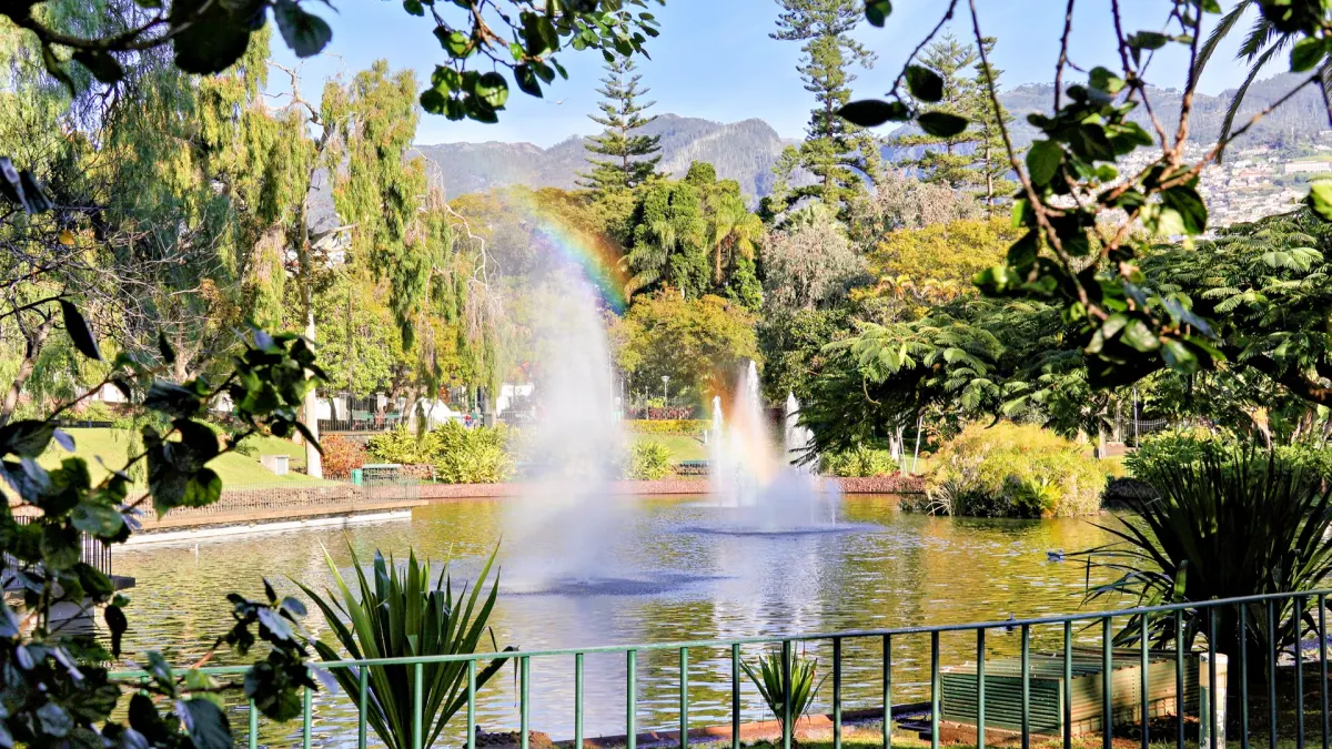 Fontanna i zieleń w parku Santa Catarina w Funchal na Maderze