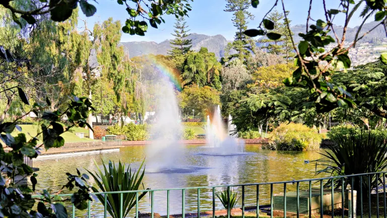 Madera: Festival da Natureza trwa do 11 października. Atrakcje w Funchal i górach
