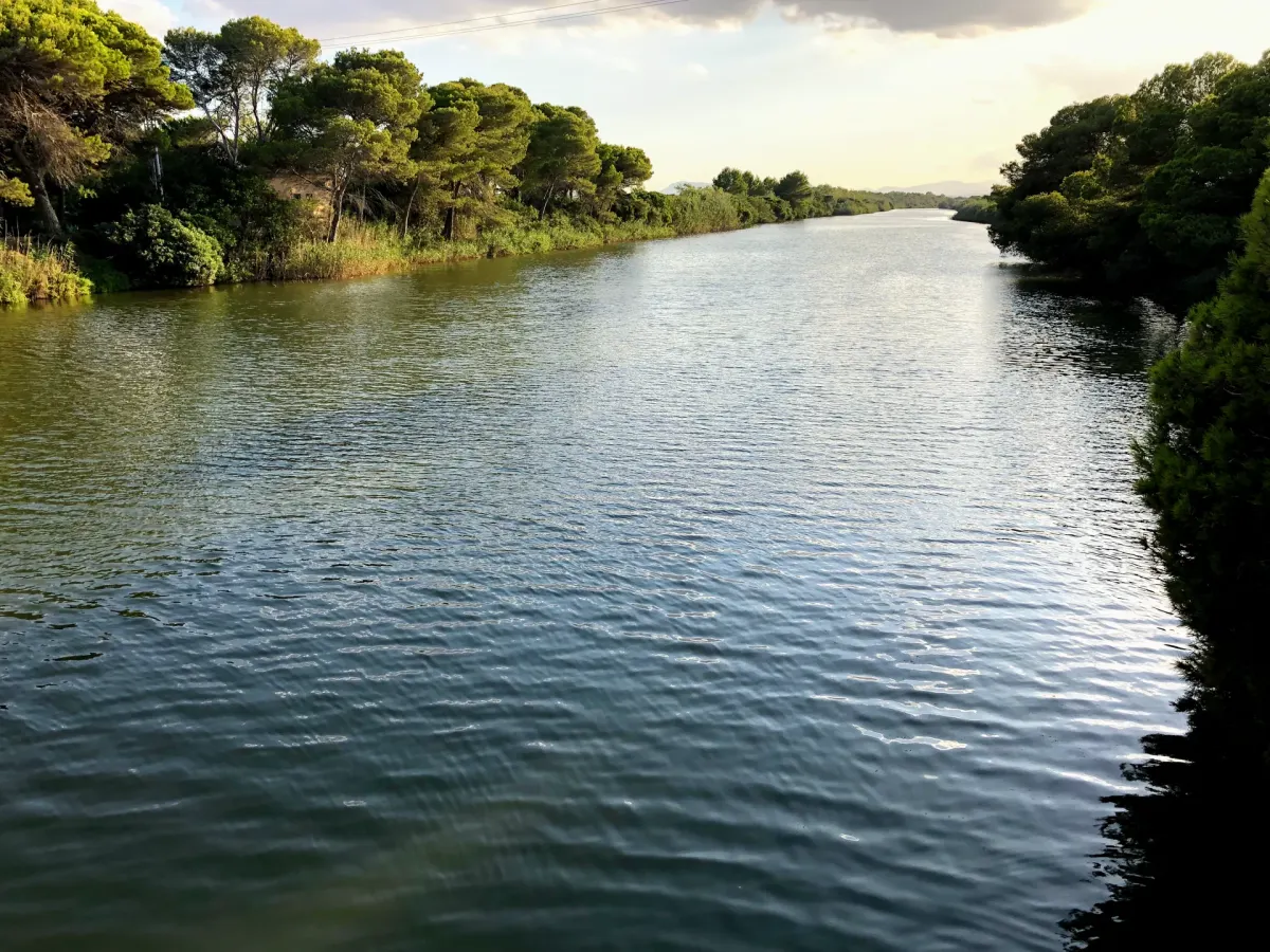 Główny kanał w Parku Naturalnym s’Albufera na Majorce