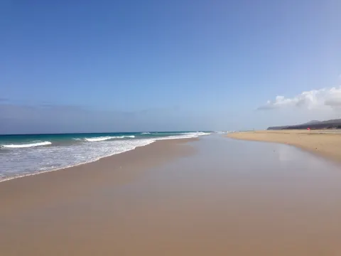 Nekera: zimowe pakiety Poznań–Fuerteventura ruszą 26 października
