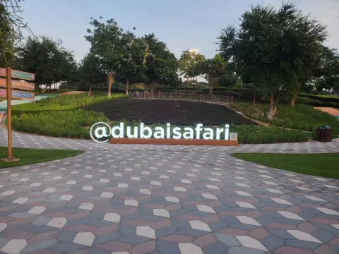 Dubai Safari Park ponownie otwarty. Dwa warianty safari w ósmym sezonie