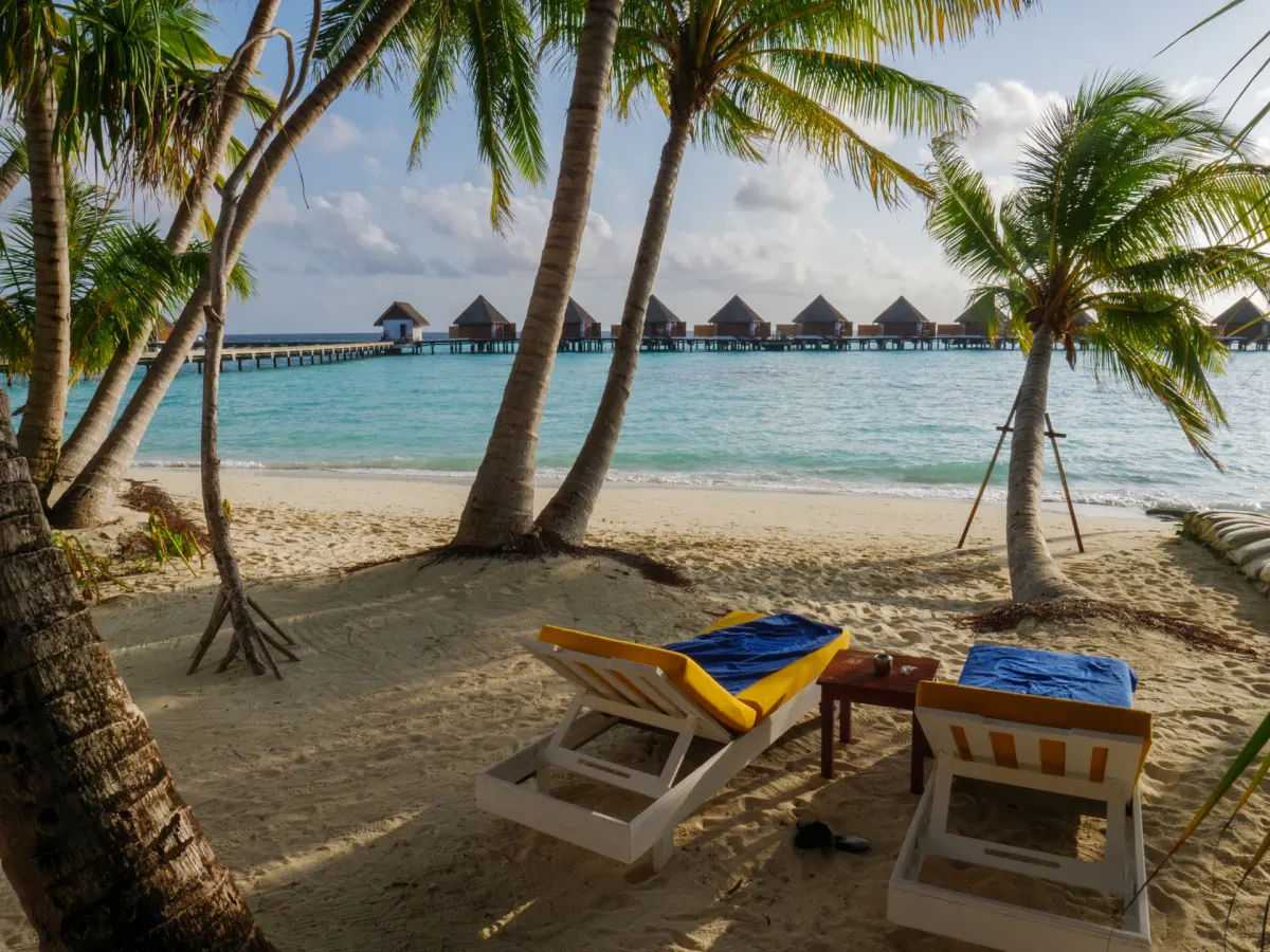 Plaża przy resorcie na Malediwach z leżakami i palmami