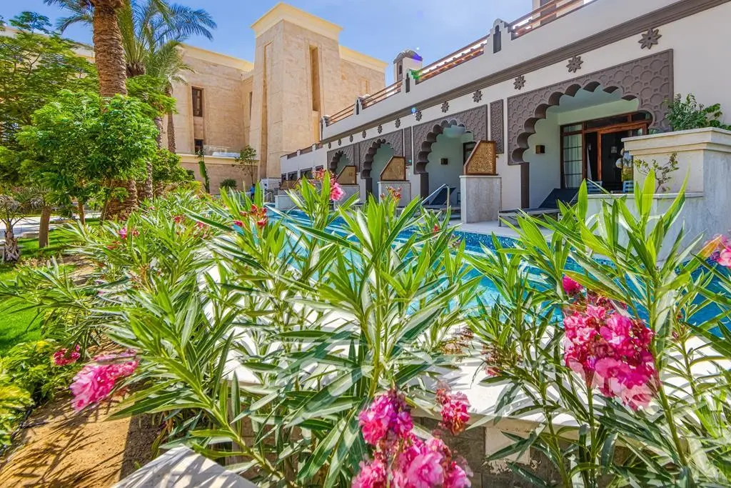 Al Kasr Sahl Hasheesh — AL KASR SAHL HASHEESH