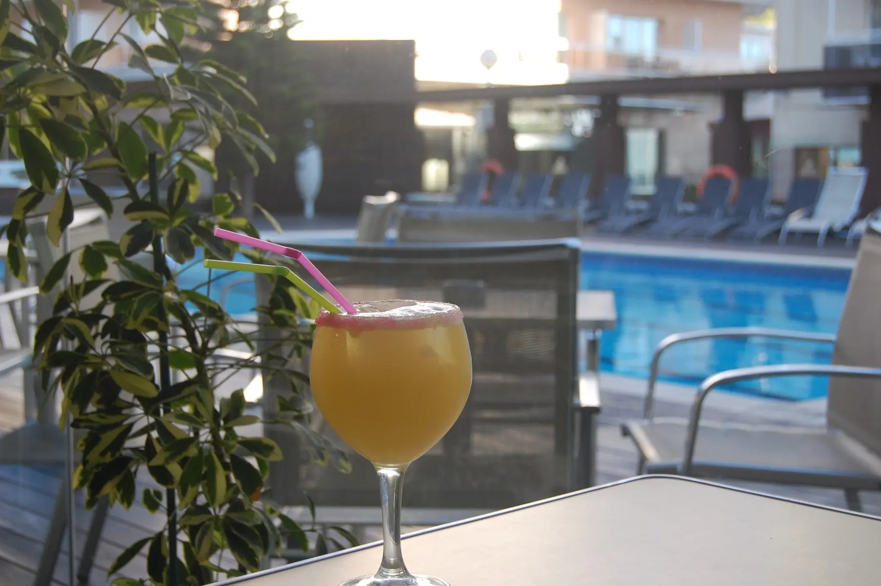 Alegria Mariner — ALEGRIA MARINER