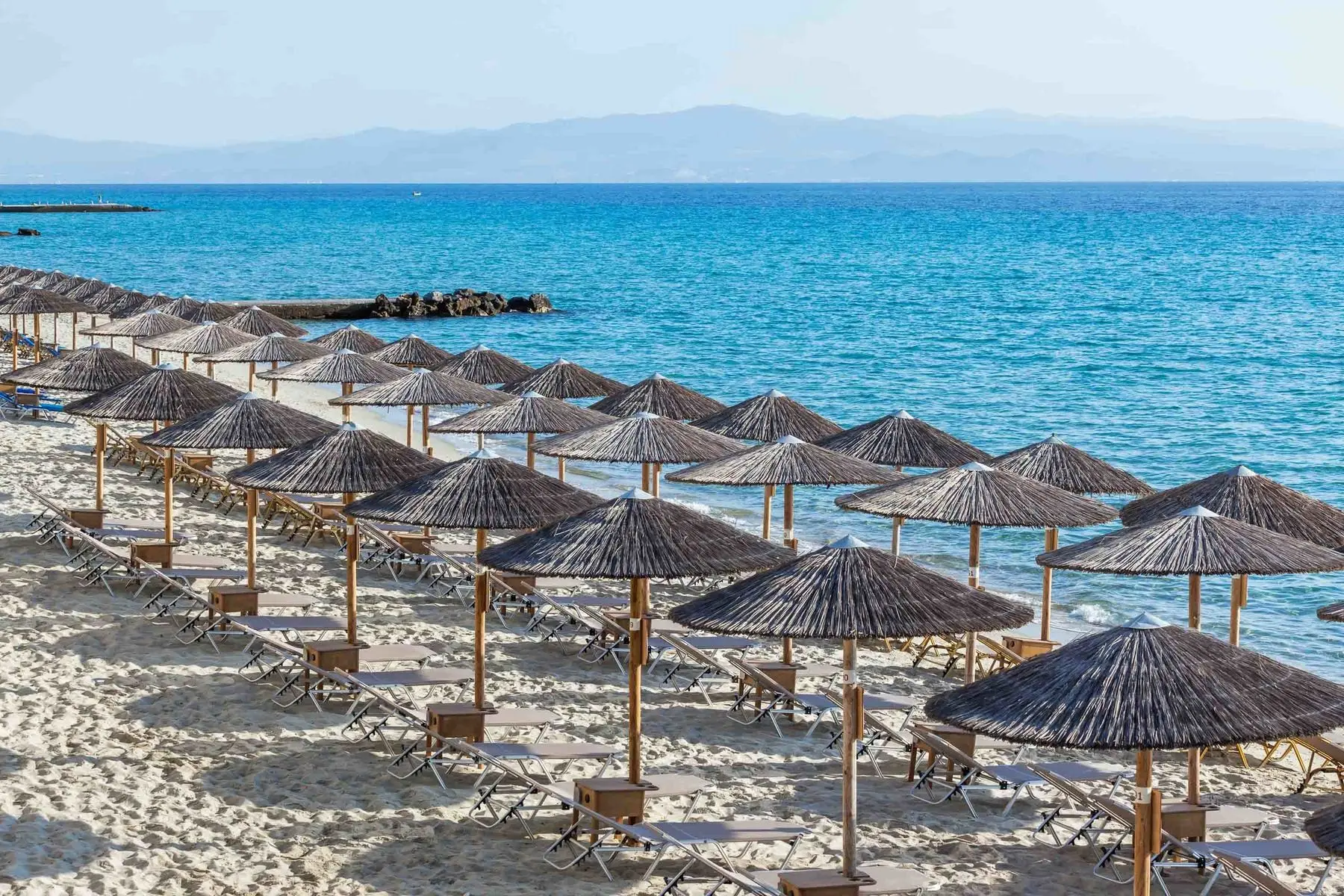 Ammon Zeus — AMMON ZEUS