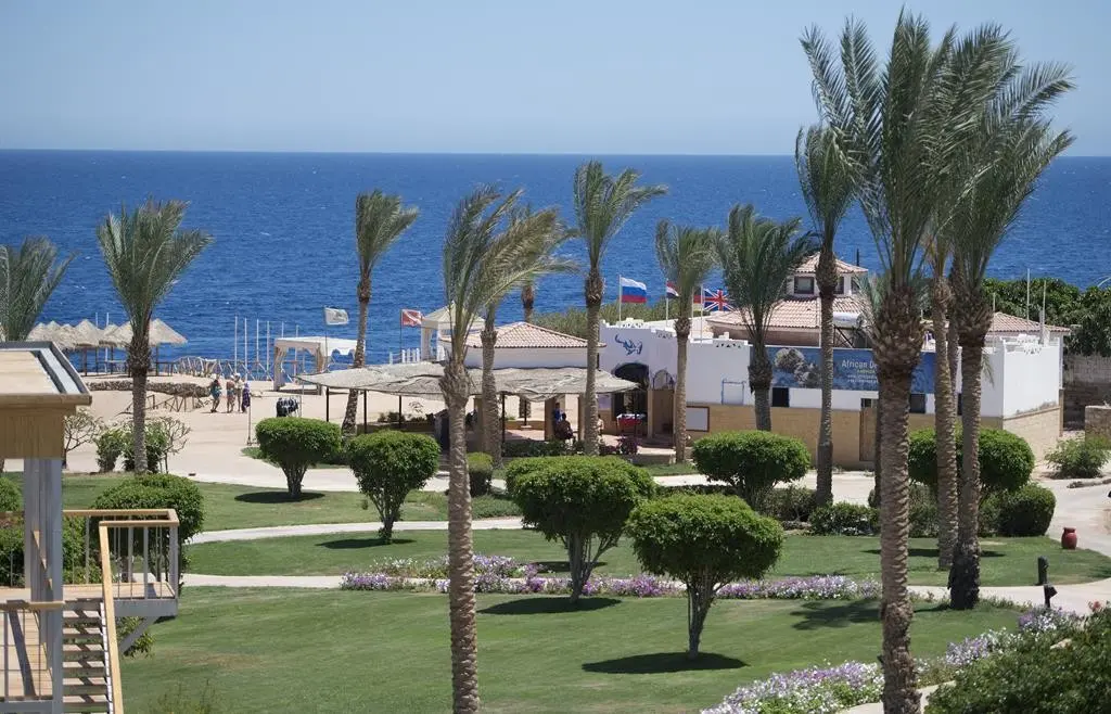 Amphoras Beach — AMPHORAS BEACH RESORT