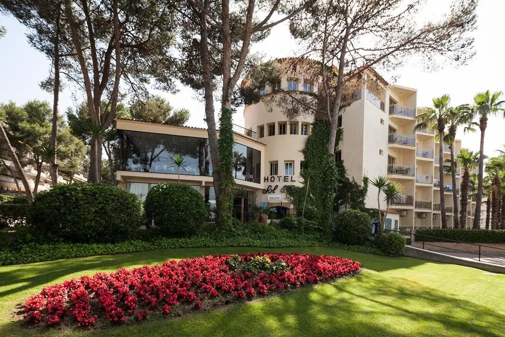 Best Sol d´Or — BEST SOL D'OR