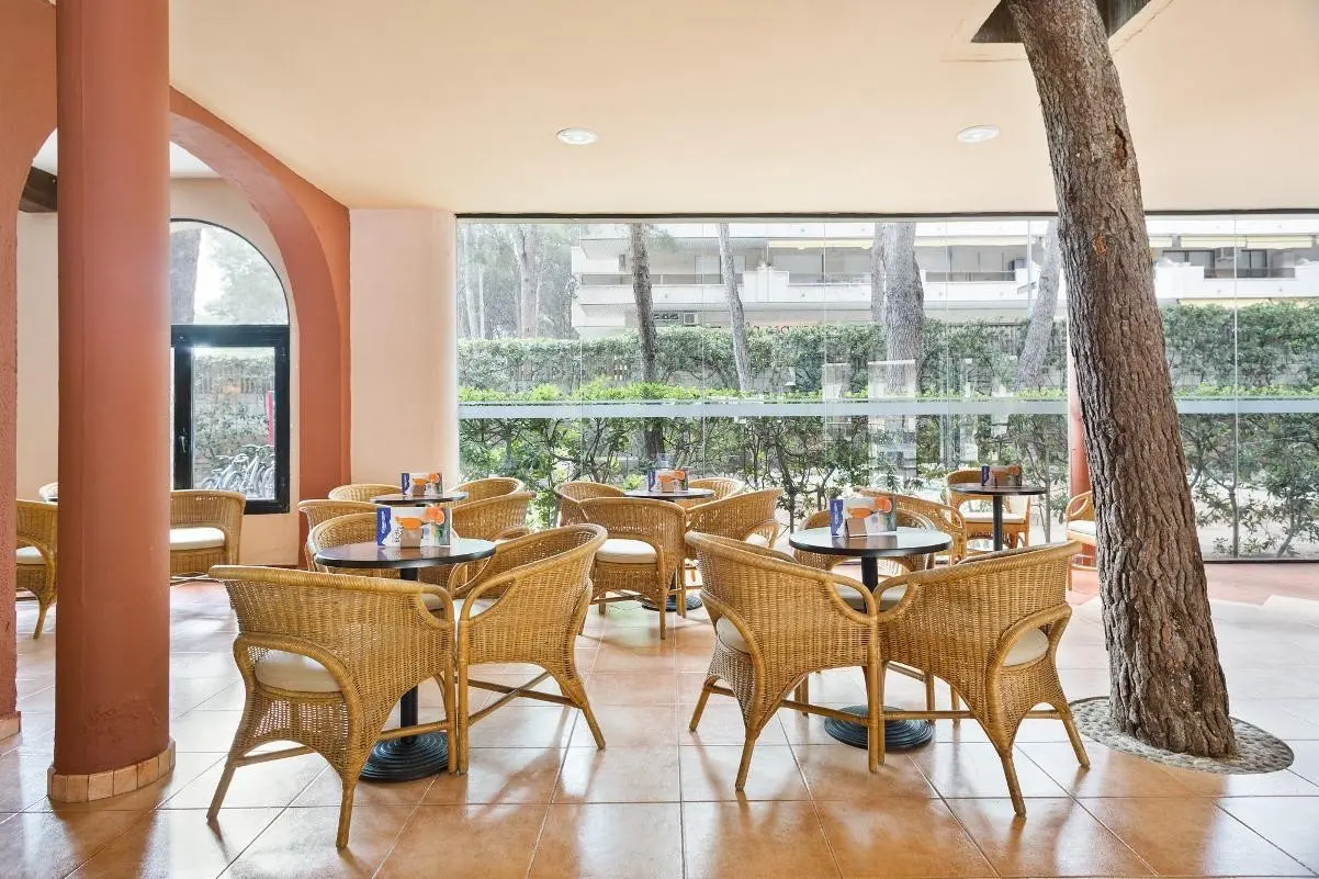 Best Sol d´Or — BEST SOL D'OR