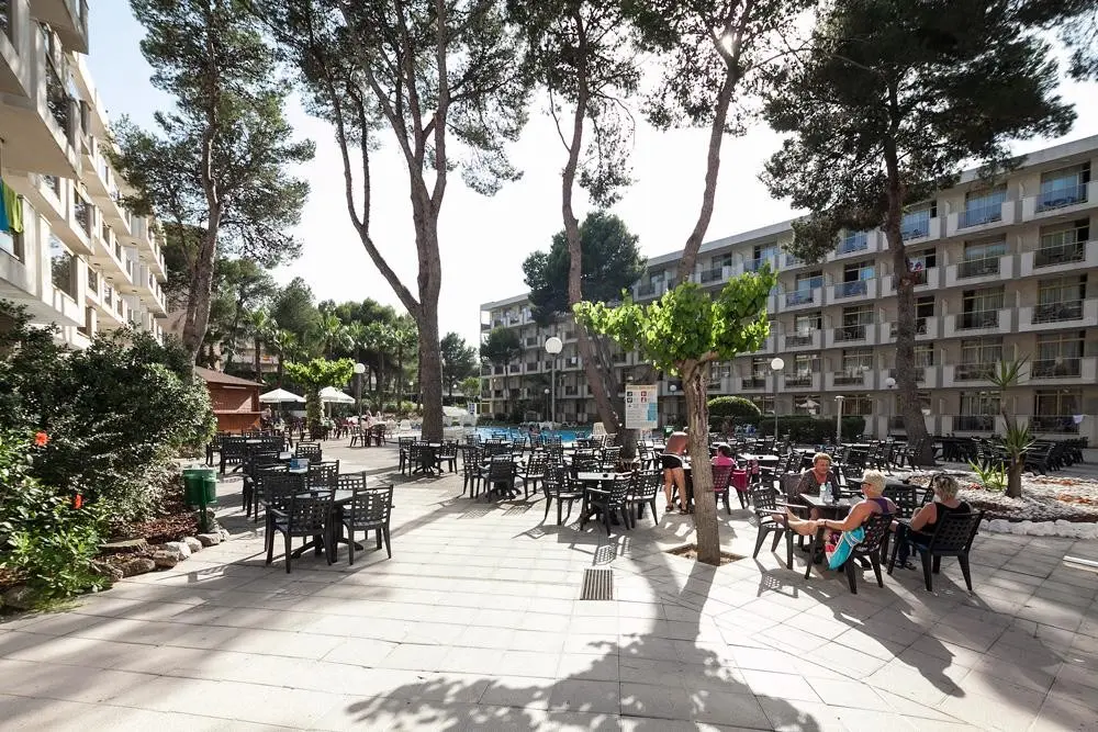 Best Sol d´Or — BEST SOL D'OR