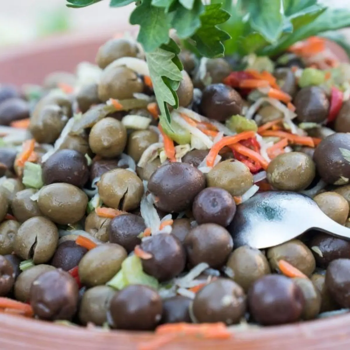 CDS Pietrablu Resort & Spa — CDS HOTELS DELFINO BEACH