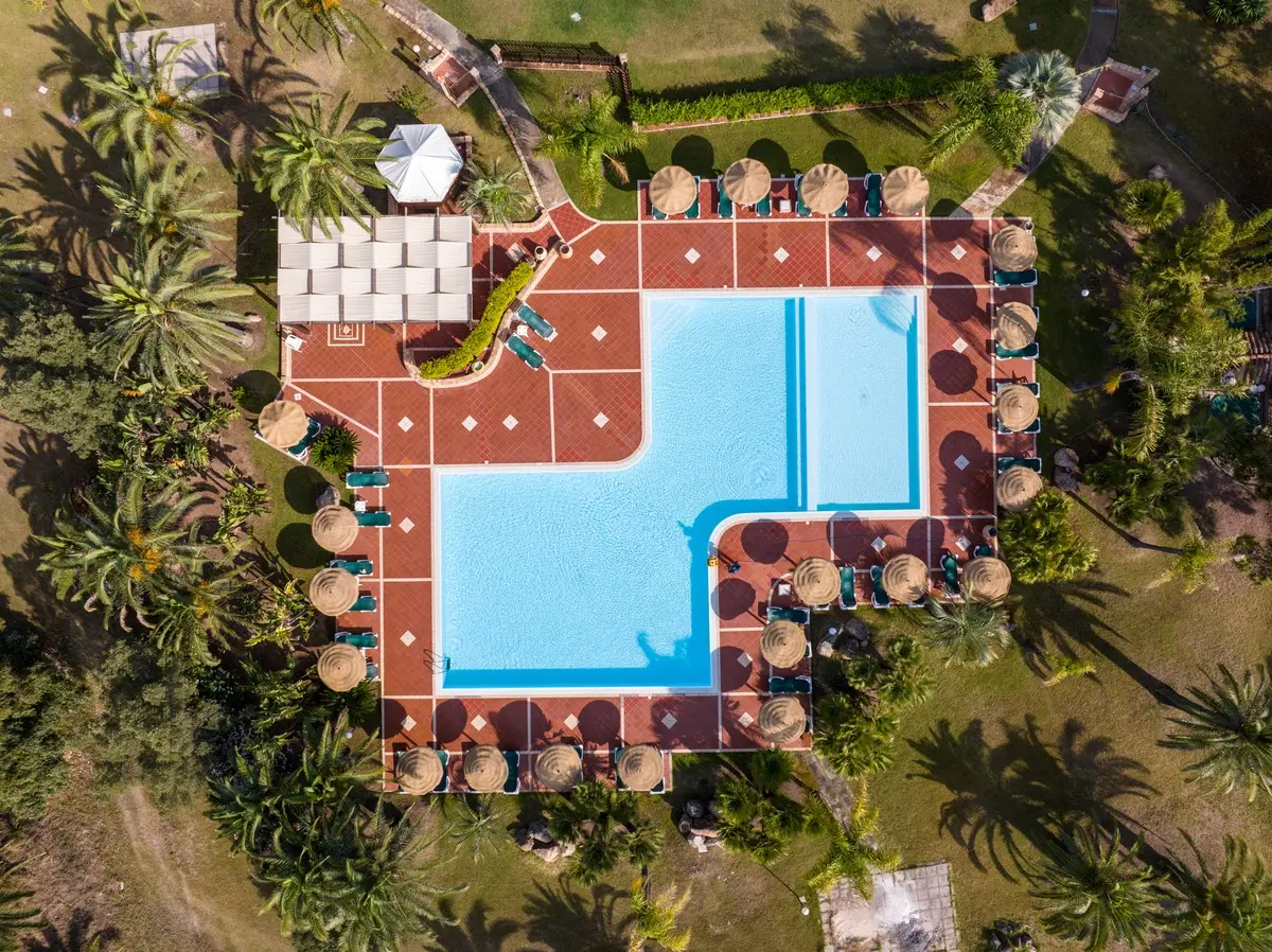 Obiekt hotelu Delle Palme