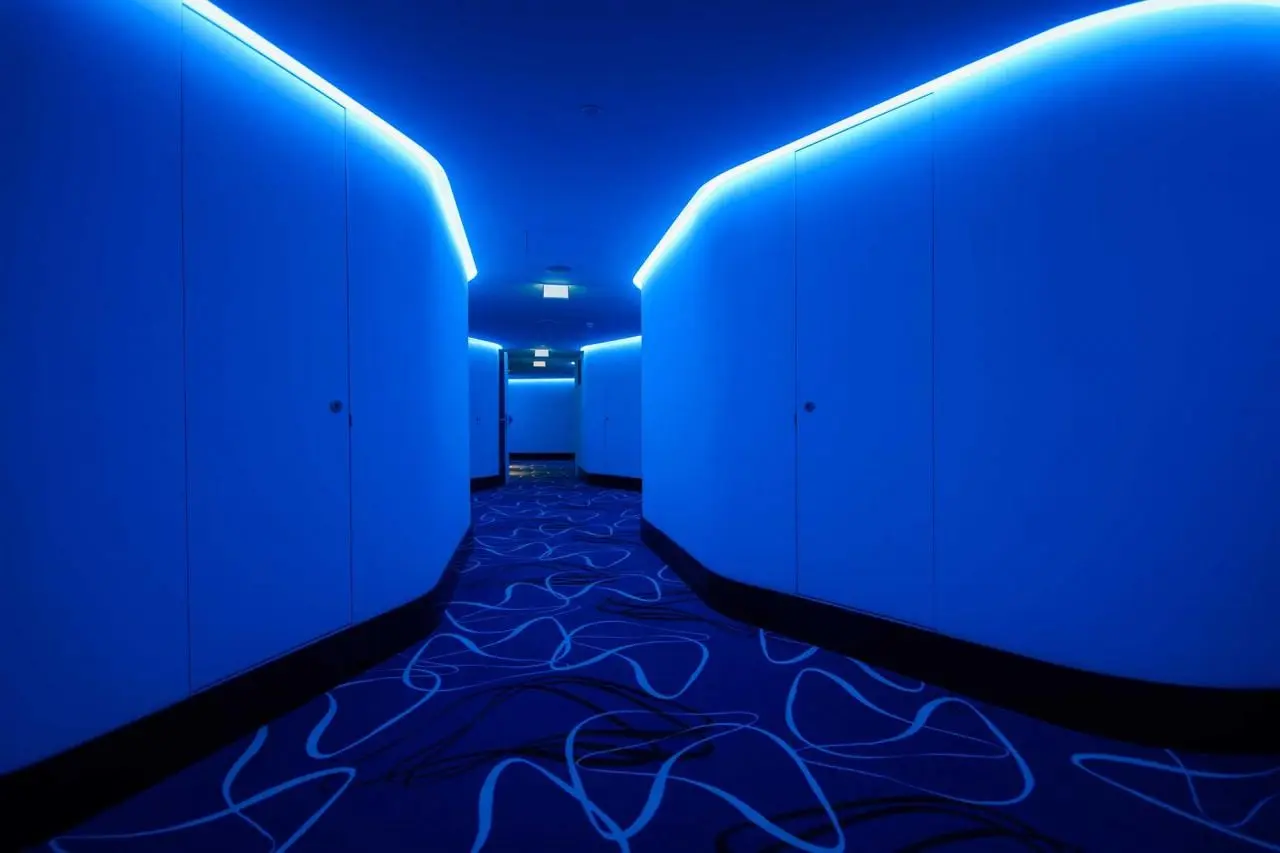 EVOLUTION Lisboa — EVOLUTION LISBOA