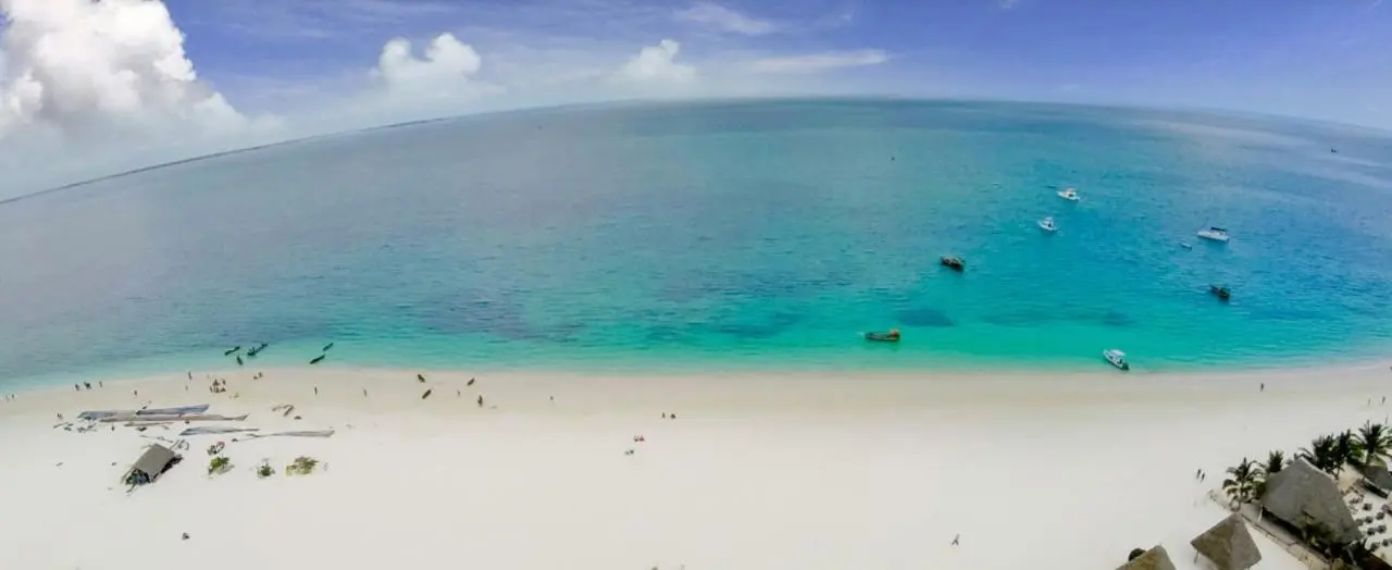 Gold Zanzibar — GOLD ZANZIBAR