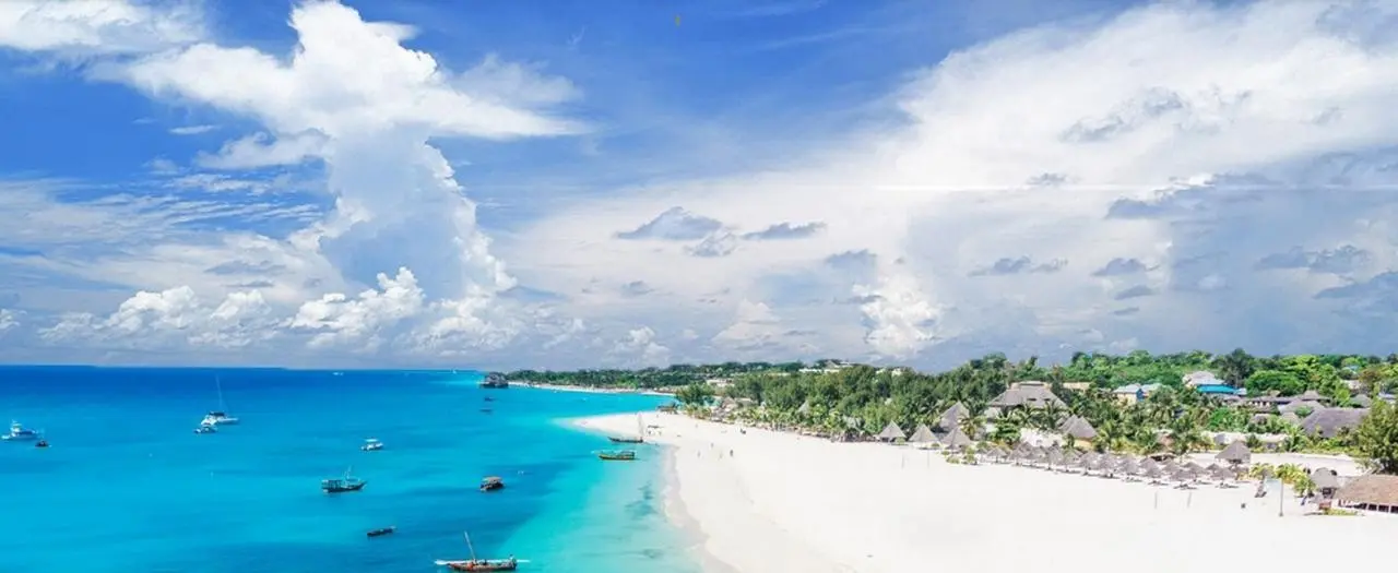 Gold Zanzibar — GOLD ZANZIBAR