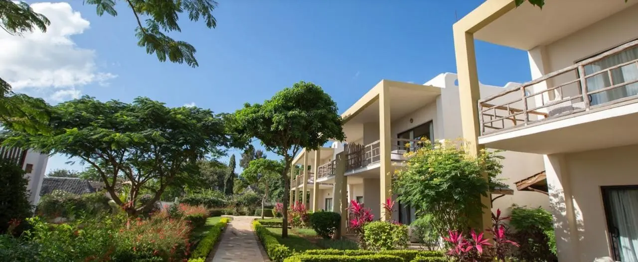 Gold Zanzibar — GOLD ZANZIBAR