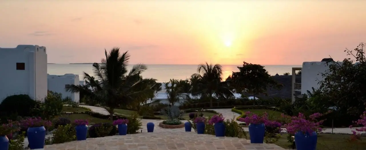 Gold Zanzibar — GOLD ZANZIBAR