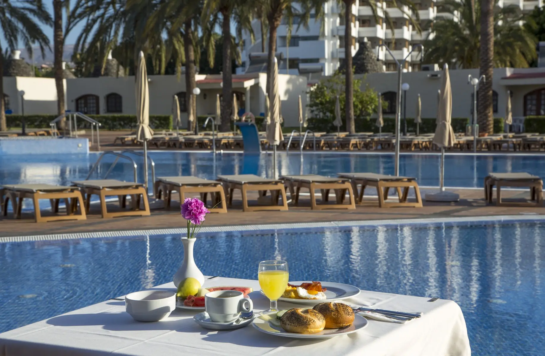 HD Parque Cristobal Gran Canaria — HD PARQUE CRISTÓBAL GRAN CANARIA