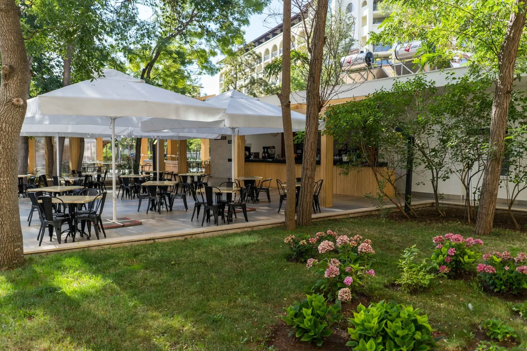 HVD Club Bor — HVD CLUB BOR