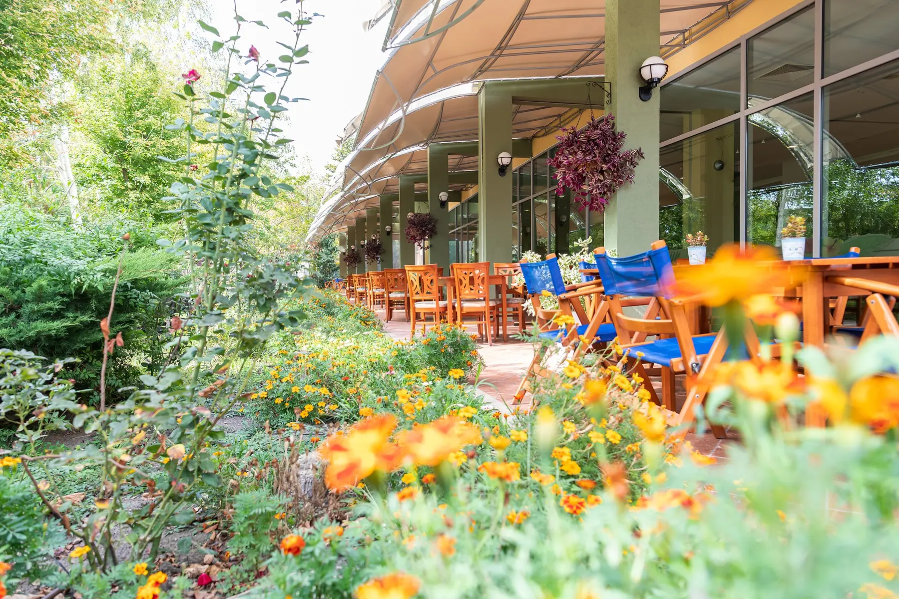 Ivana Palace — IVANA PALACE