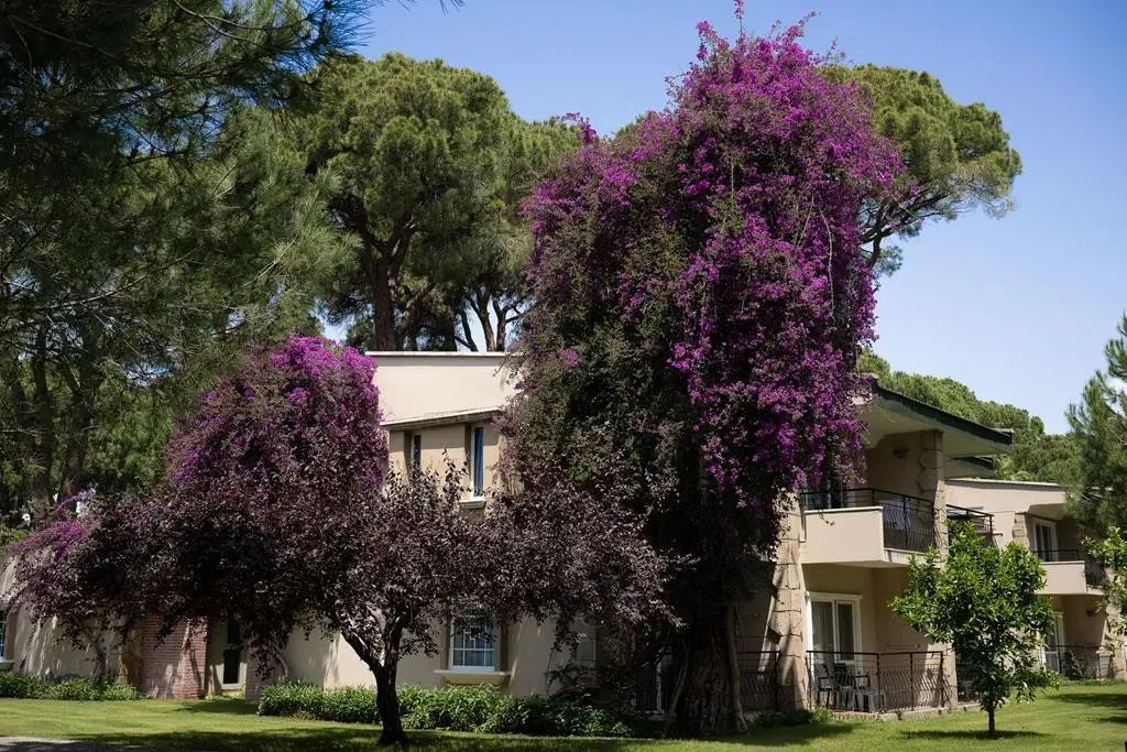 Obiekt hotelu Pine Beach Belek